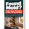 Found Mold? Weluda Homeowner Action and Second-Opinion Guide with updated teal and orange book cover